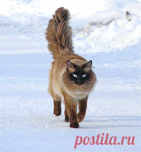 На свидание...