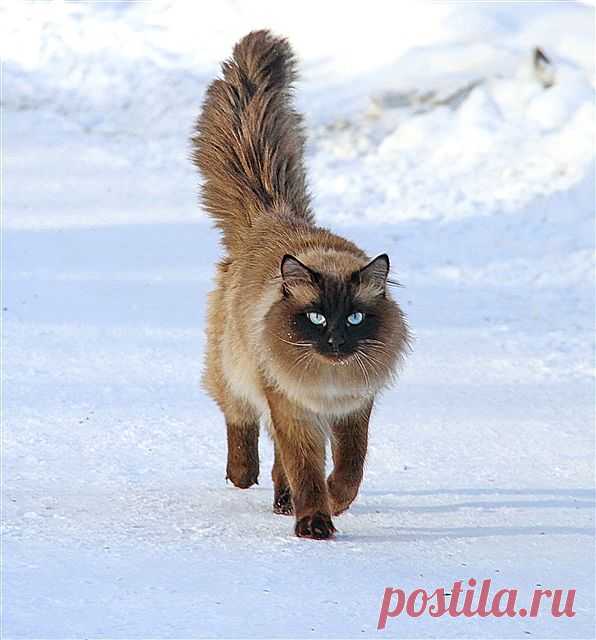 На свидание...