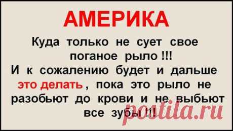 Кстати в качестве прелюдии России и Китаю можно было бы перестать держать свои золото-валютные резервы в $ и EURO и уж тем более хранить их в Америке !!!

МНЕНИЕ ВЕРНО ?
40

НЕТ
1 895

ДА
