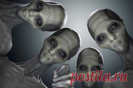 Инопланетяне тоже любопытны