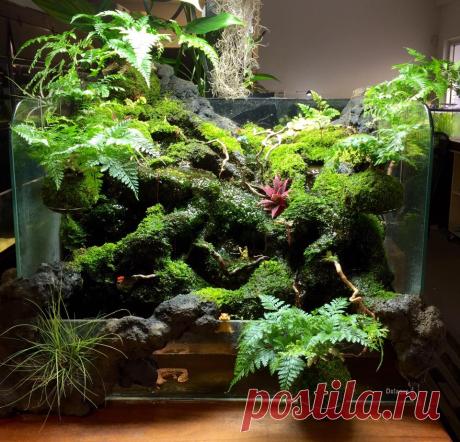 Do!Aqua 60-P waterfall - это есть домашний палюдариумчик с домашним водопадиком :)