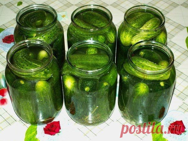 огурцы по-московски.