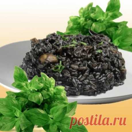 Ризотто с чернилами каракатицы
