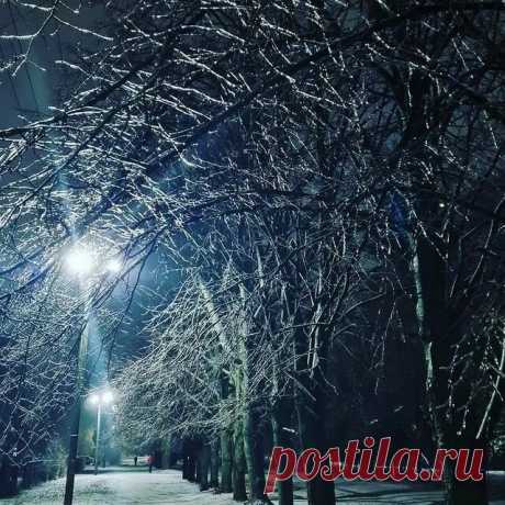 Яндекс Картинки: поиск похожих изображений