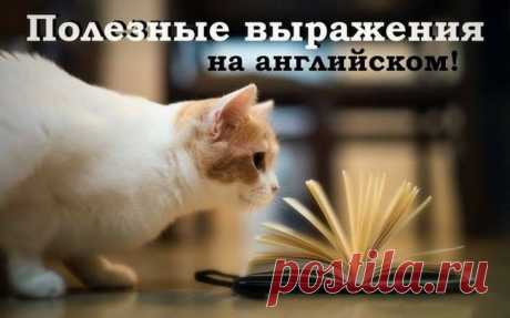Уроки английского