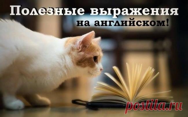 Уроки английского