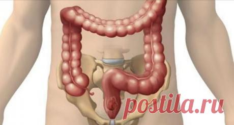 Lifter | Вот как выгнать из своего тела 8 кг токсинов!