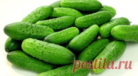 Топ-20 продуктов, сжигающих жиры и регулирующих обмен веществ Как известно, чтобы выглядеть на все сто, прежде всего необходимо распрощаться с лишними килограммами. Огромное количество всевозможных диет предлагают нам способы борьбы с избыточным весом, требующие...