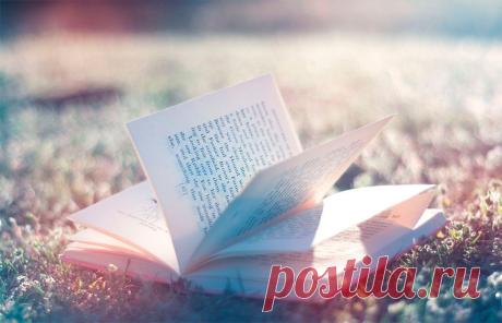 Книга - лучший учитель | Эруди
