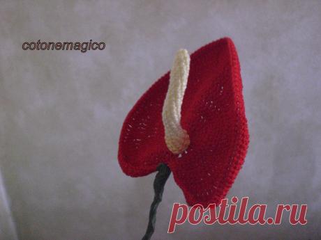 Fiore all'uncinetto anthurium | Cotone magico