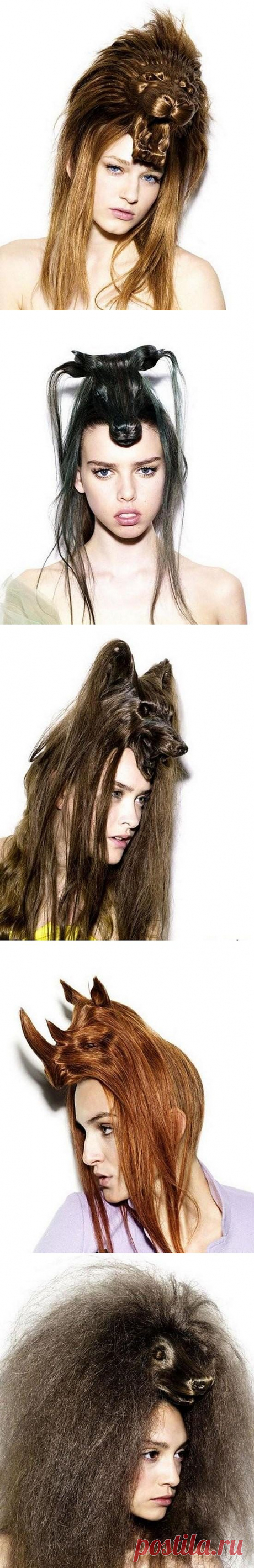 Необычная женская прическа / Все для женщины