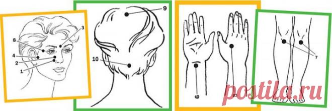 Лечим простуду: точечный массаж против насморка
 
Докучает простудный насморк? Облегчить самочувствие поможет несложный точечный массаж.

Еще в древности восточные врачи обнаружили, что на теле человека существуют отдельные точки, которые связаны с внутренними органами и системами организма.

Любопытно, что при этом точки, «отвечающие» за конкретный орган, необязательно расположены рядом с ним.