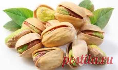 Орехи фисташки полезные свойства