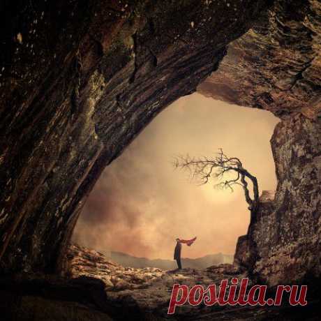 Баллада о Птицелове | 5минутка