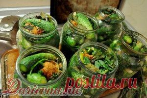 ОГУРЦЫ ПО-БЕРДЫЧЕВСКИ - ОЧЕНЬ АРОМАТНЫЕ И ОЧЕНЬ КРАСИВЫЕ!