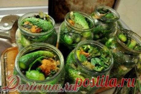 ОГУРЦЫ ПО-БЕРДЫЧЕВСКИ - ОЧЕНЬ АРОМАТНЫЕ И ОЧЕНЬ КРАСИВЫЕ!