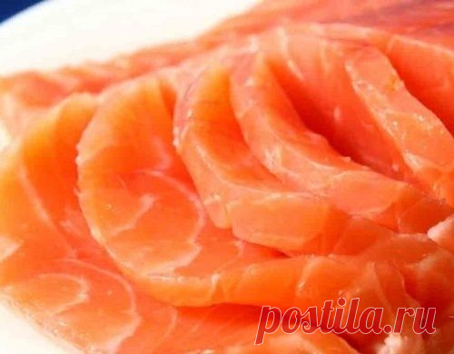 Как солить семгу в домашних условиях