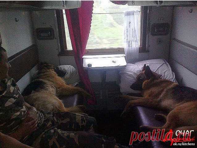 (81) Одноклассники