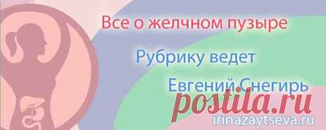 Желчный пузырь | Блог Ирины Зайцевой