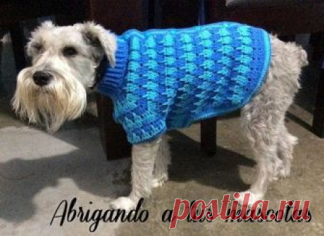 Paso a paso del suéter para mascotas.  ¿Te gustaría que le hiciera uno a tu mascota?         Puedes visitar mi publicacion en mercado libre y solicitarlo, con mucho gusto te pued...