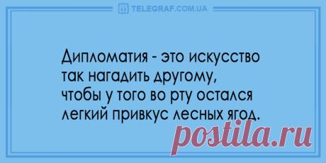 Вам будет смешно: прикольные анекдоты 2 мая - Смешные анекдоты - На праздниках нужно быть обязательно с хорошим настроением - Новости Телеграф - Страница 5