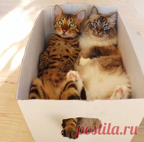 Фото дня