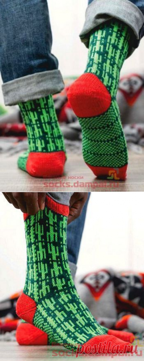 Вязаные носки «Кактус пустыни Сонора» | ВЯЗАНЫЕ НОСКИ