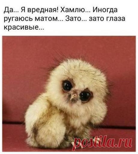 Интересные новости