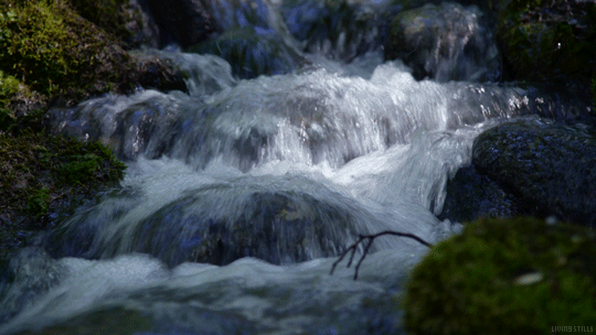 (4) Tumblr