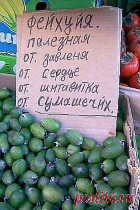 13 отличных анекдотов для ценителей изящества русского языка