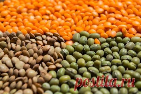 Какие вегетарианские блюда из чечевицы приготовить, полезны свойства чечевицы