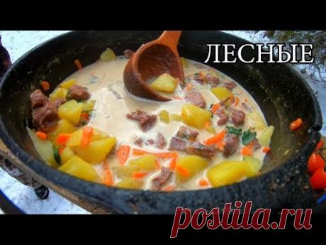 СЫРНЫЙ СУП В ДОМЕ НА ДЕРЕВЕ | ПРАЗДНИЧНЫЙ СТОЛ И РЫЖИЙ ЗВЕРЬ | ЛЕСНЫЕ