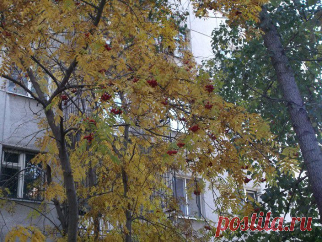 (+1) - Екатеринбург в объятиях ЗОЛОТОЙ ОСЕНИ, | Фотоискусство