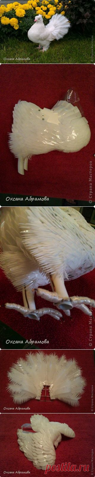 Голубь из бутылок — фантастическая работа