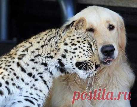 Мой Мир@Mail.Ru