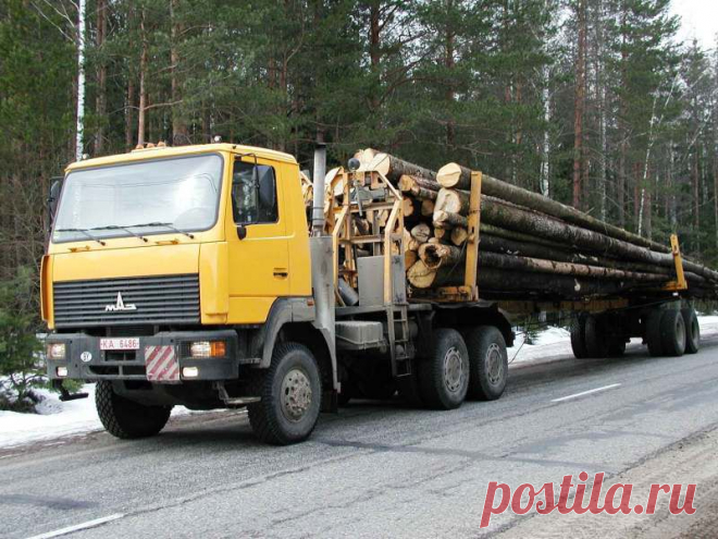 Работа для Лесовозов и Хлыстовозов 
работа по вывозки леса 50.000 куб заготовлено.
пос Андра (Приобье)- Нягань 
Плечо; 100-200 км.
Переправа через реку по зимнику.
потребность 5 хлыстовозов.лесовозов.
Запрс ставки за куб перевозки.
http://special-service.info/
frizen196910@mail.ru
89045471839.89638564422.