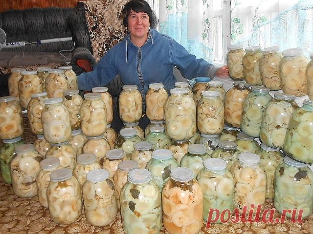 Одноклассники