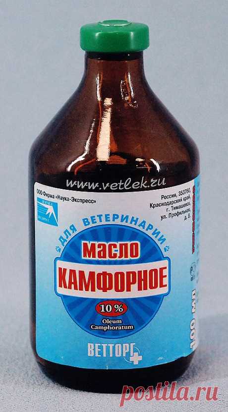 Как делать компрессы с камфорным маслом :: Компресс из камфорного масла :: Лекарственные препараты :: KakProsto.ru: как просто сделать всё