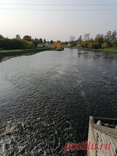 337 карточек в коллекции «Фото недели с 28 сентября по 4 октября» пользователя ЯндексКоллекции в Яндекс.Коллекциях