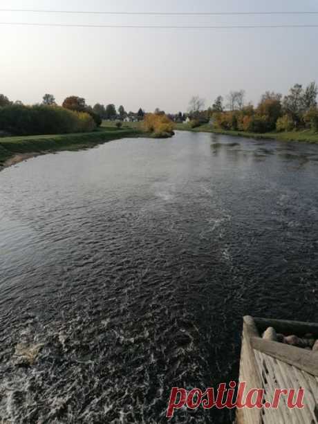 337 карточек в коллекции «Фото недели с 28 сентября по 4 октября» пользователя ЯндексКоллекции в Яндекс.Коллекциях