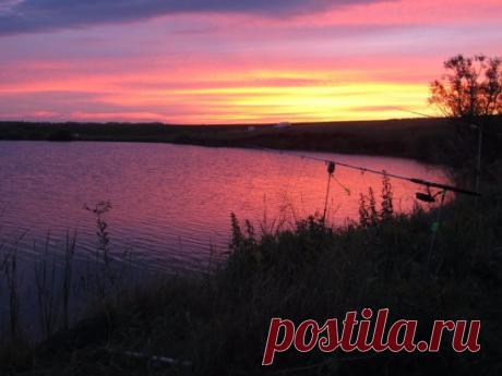 Пускай срывается блесна,
Пускай ругается жена,
Пускай пугает гриппом врач,
А ты рыбачь!
Пусть ты мормышку оборвал,
Пускай друзьям чуть-чуть приврал,
Пусть тыща всяких неудач,
А ты рыбачь!
Пускай чуть-чуть пескарь клюёт,
Пусть ёрш покоя не даёт,
Пусть вовсе не клюёт, хоть плачь,
А ты рыбачь!
Родня от тёщи до внучат
«Не уходи! Постой!», - кричат.
Махни рукой на этот плач,
Иди, рыбачь!
И если старость впереди.
И слышен сердца скрип в груди, -
От всех инфарктов к речке вскачь
Беги