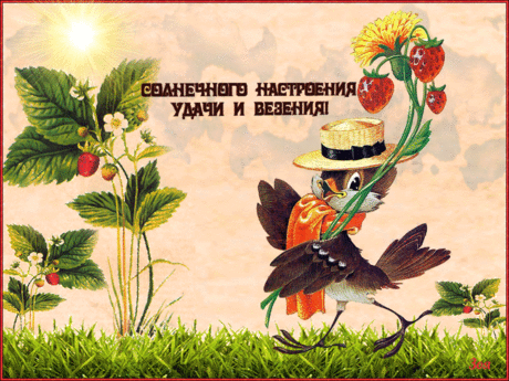 Удачи и везения желаю - Плейкасты