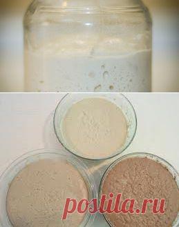 Рецепты безглютеновой хлебной закваски | Безглютеновая безказеиновая диета