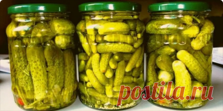 Эти маринованные огурчики не доживают даже до Нового Года! Ваши близкие совершенно забудут про другие соленья, пока не съедят все эти огурчики! — Здоровье и долголетие