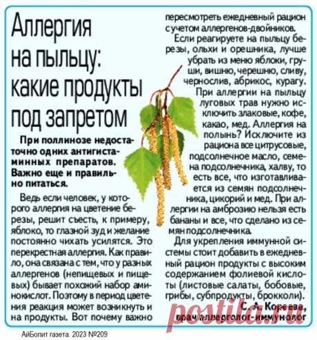Аллергия на пыльцу