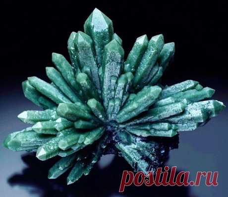 Камни