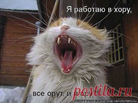 Мартовские трели кошаков !