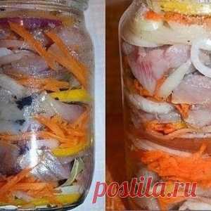 Селёдка по-голландски - МирТесен