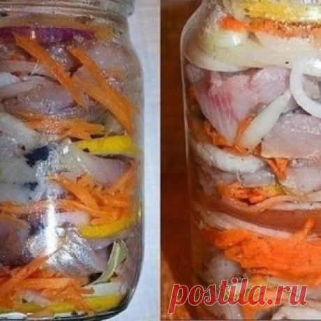 Селёдка по-голландски - МирТесен