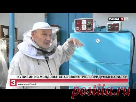 (50) Одноклассники